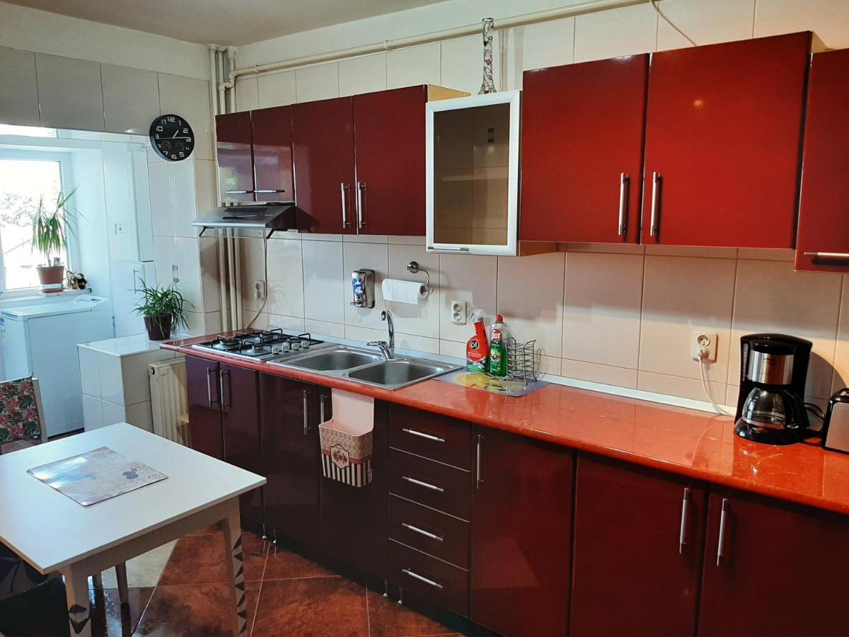 Ultracentral,Parcul Catedralei,Apartament 2 Camere Bacău Esterno foto